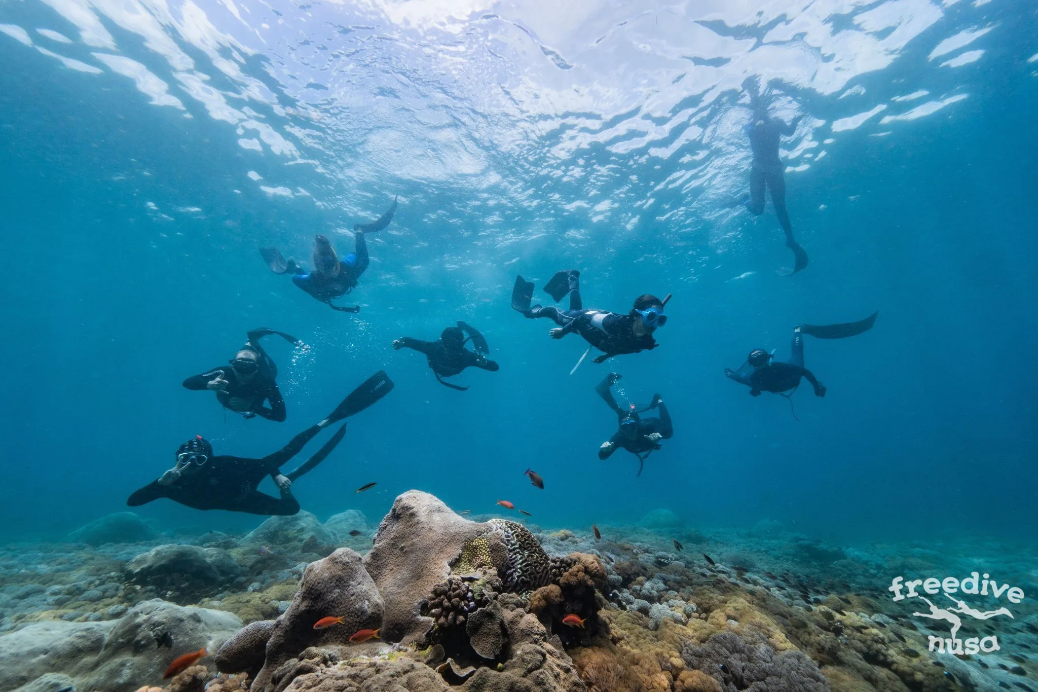 freediving training plan Freedive School on Nusa Penida