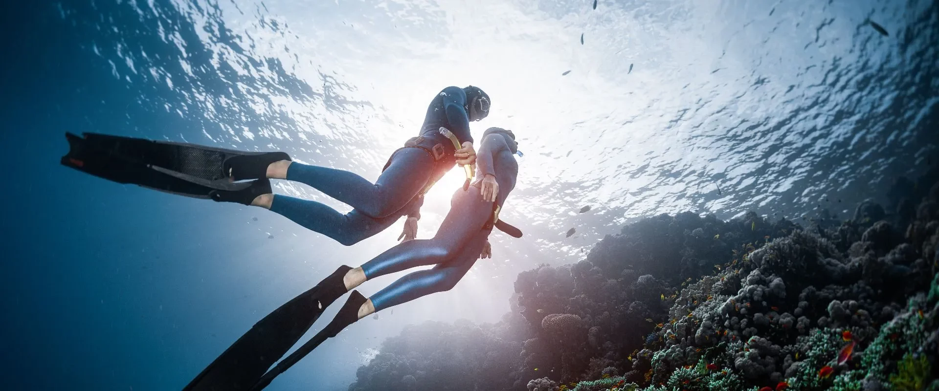 Freediving Courses with Freedive Nusa