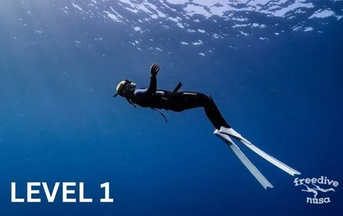 Freediving Level 1