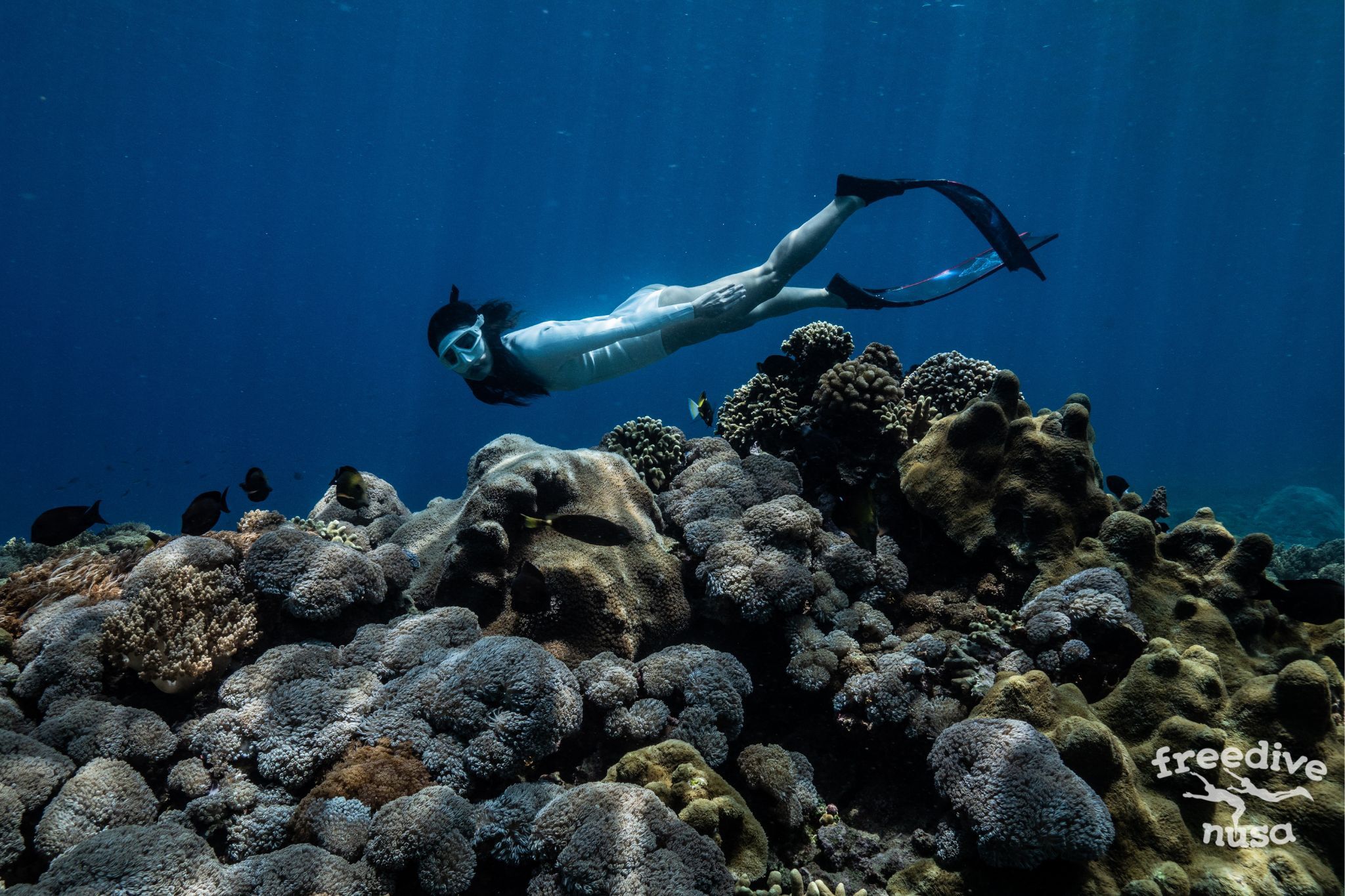 Fun Freediving Nusa Penida