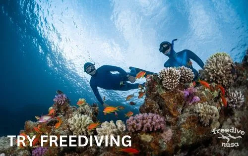 Try Freediving