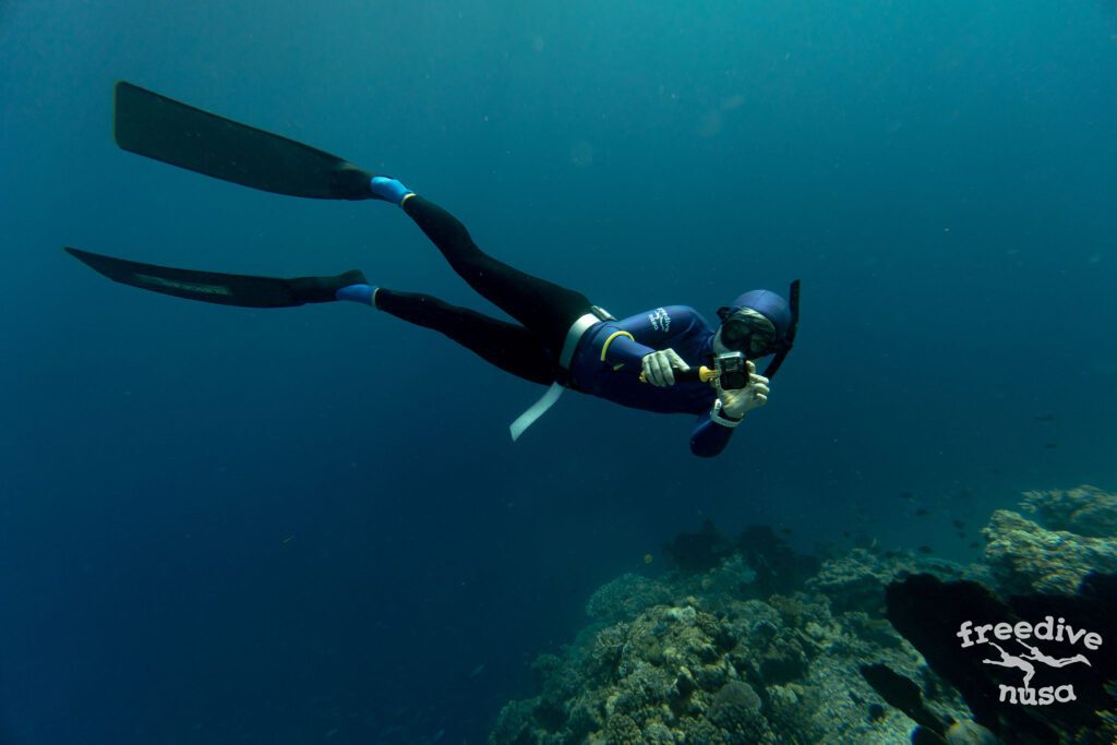 Freediving in Moyo Island