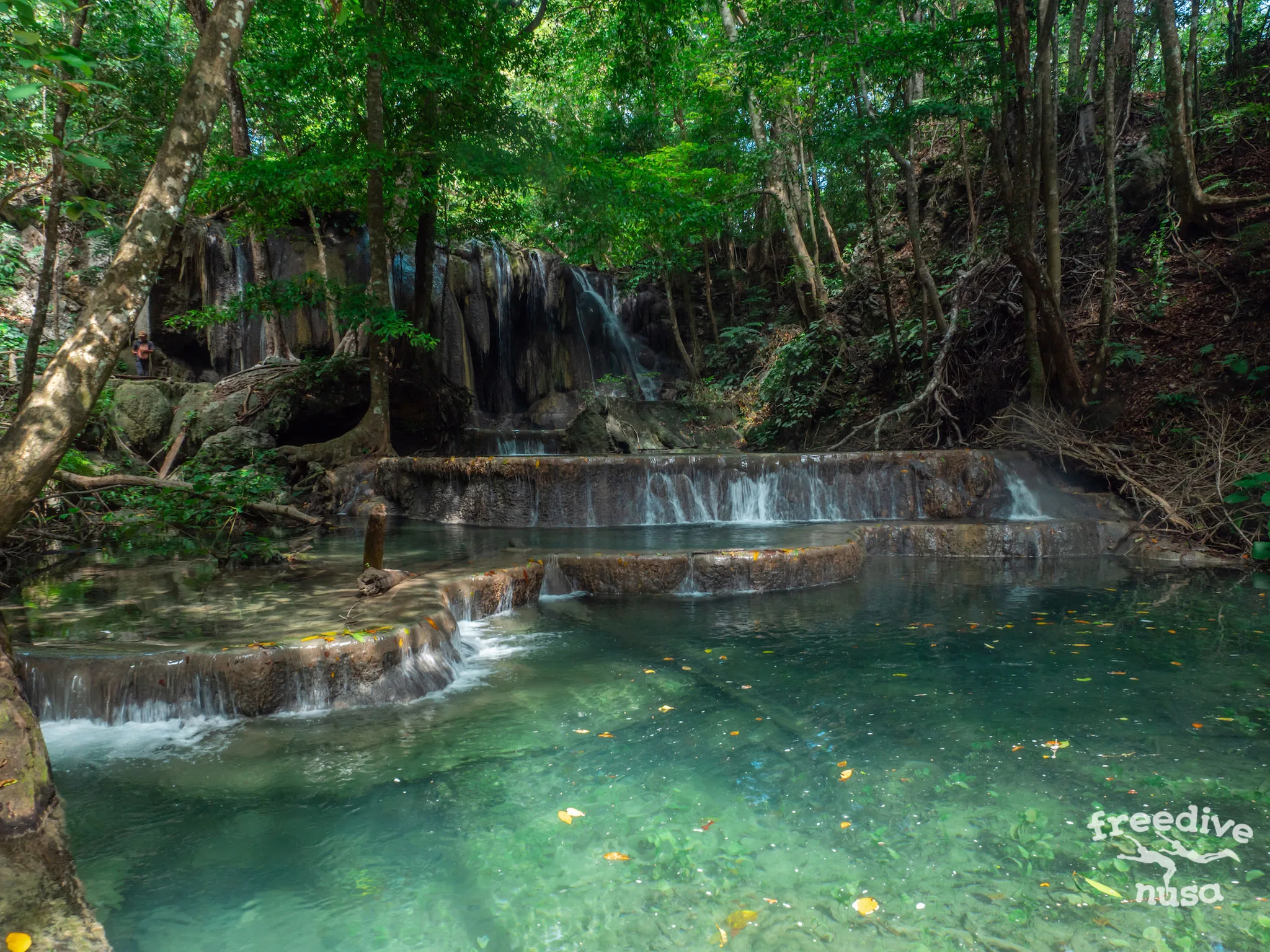 sumbawa diving Waterfall in Moyo Island