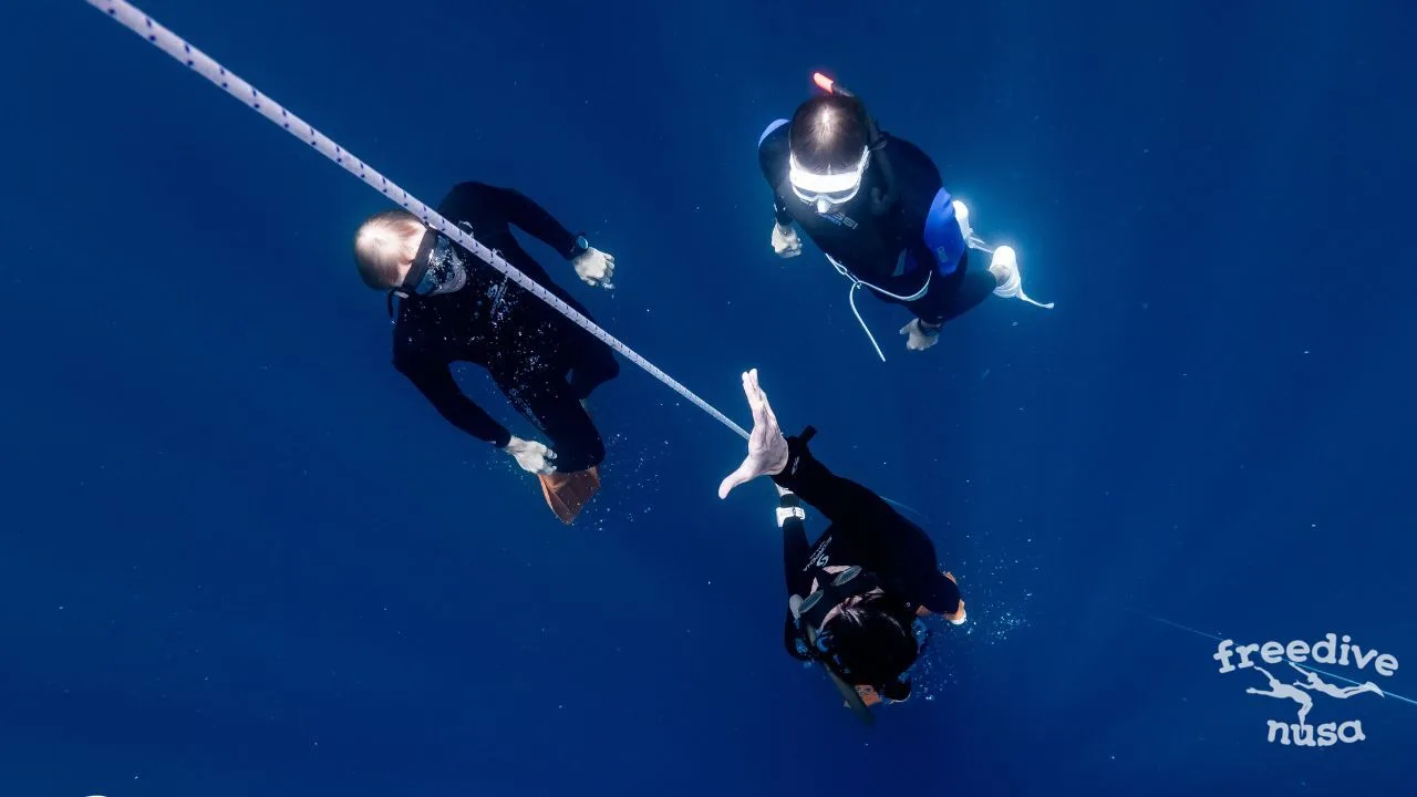 freedive school Freedive Courses