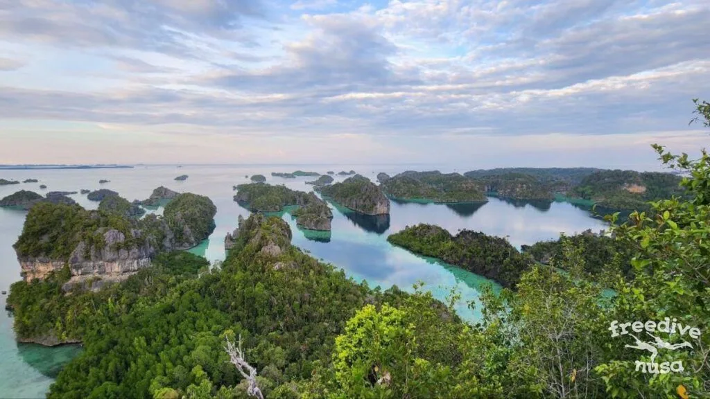 дайвинг Misool (Raja Ampat)