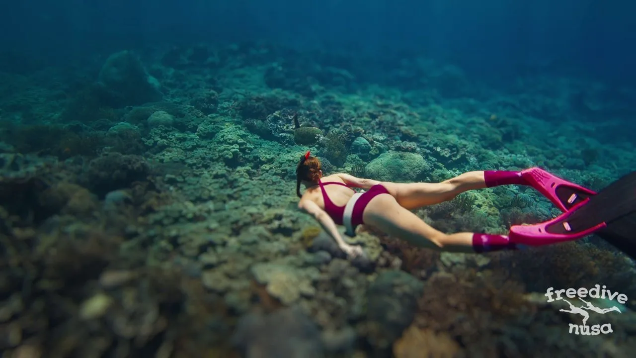 Recreational Freediving