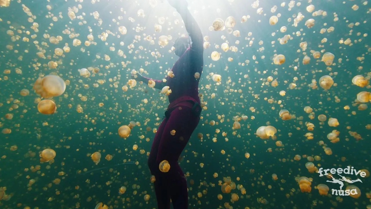 Freediving Exploration