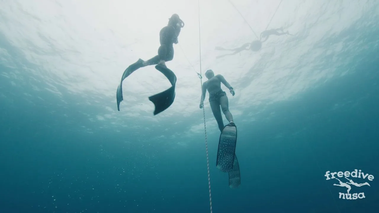 Constant Weight with Fins