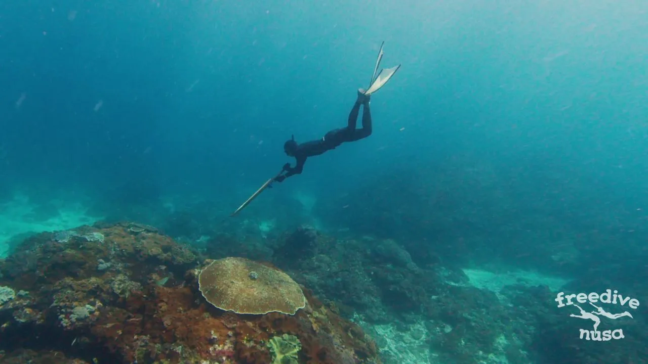Applied Freediving