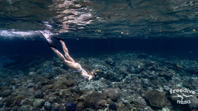 Relaxed dive
