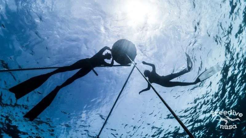 Open water session