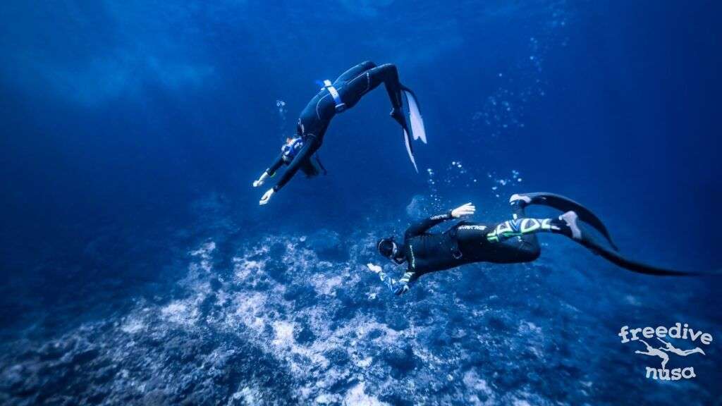 Freediving creates communities built on trust, support, and shared passion. Whether you're a novice or seasoned diver, the friendships forged in this sport are enduring.