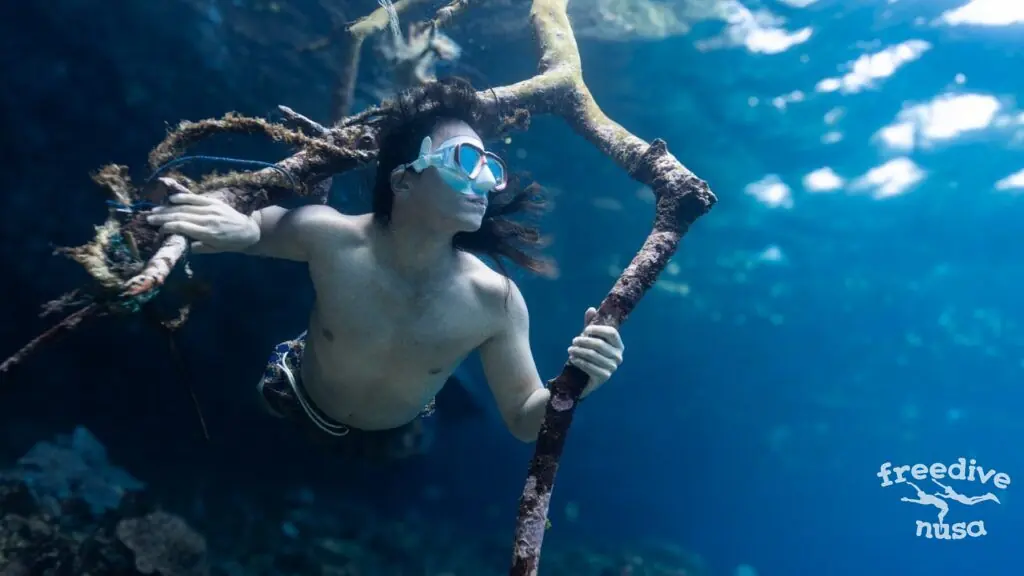 Freediving Lifestyle