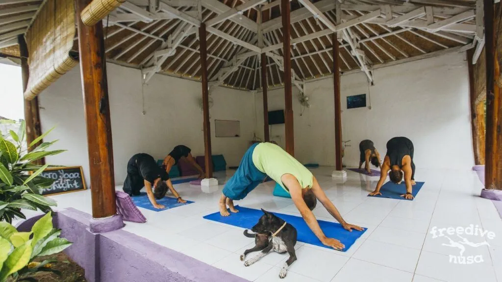Remember about yoga and mindfulness