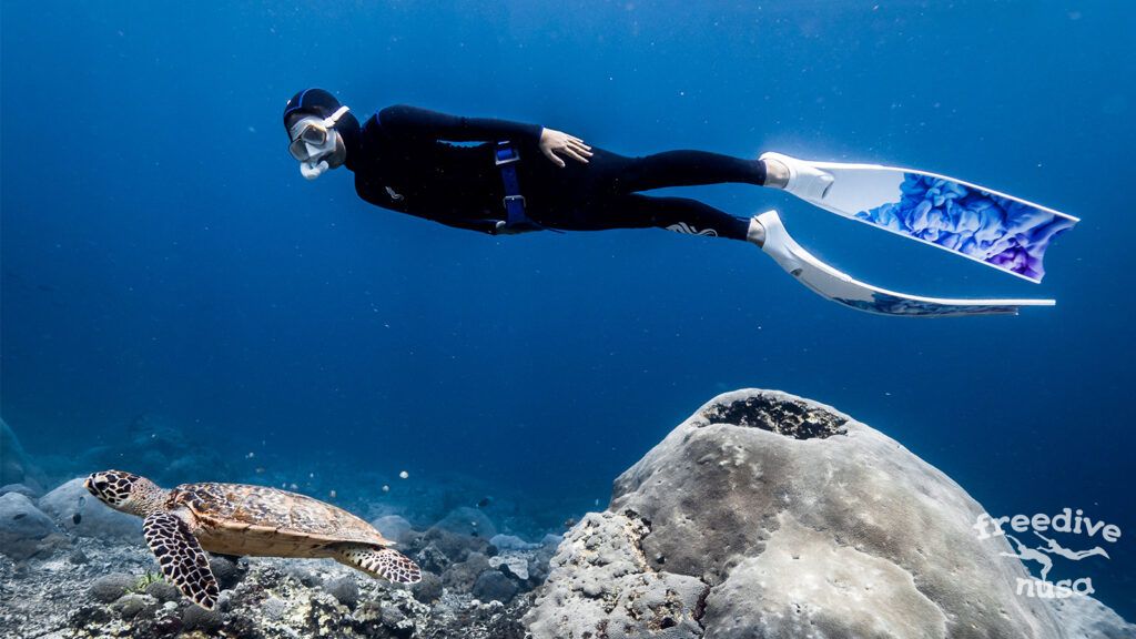 Freediver over a turtle