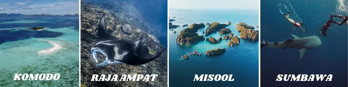 Freediving Trips with Freedive Nusa