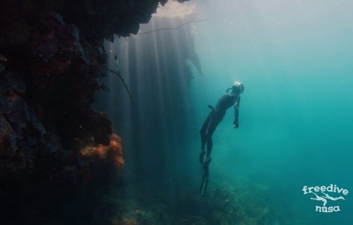 freedive trip Raja Ampat
