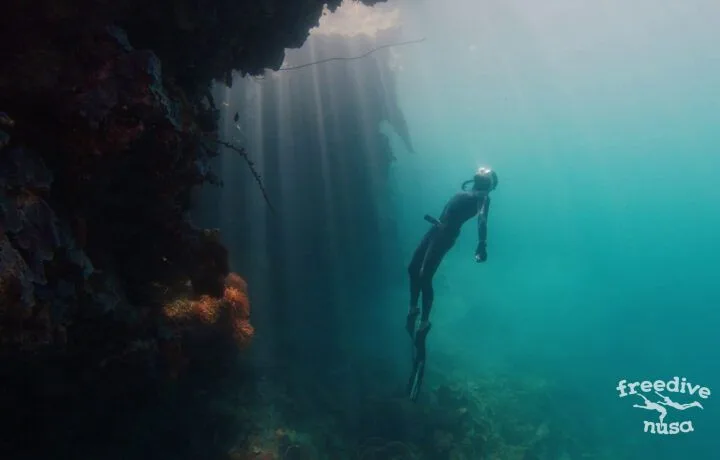 freedive trip Raja Ampat