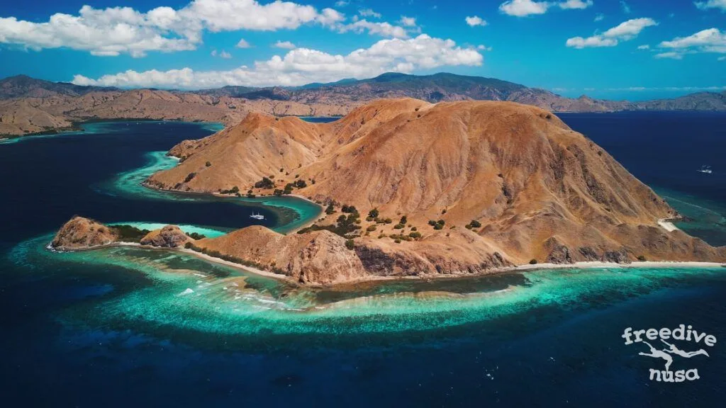 Freedive Trip to Komodo