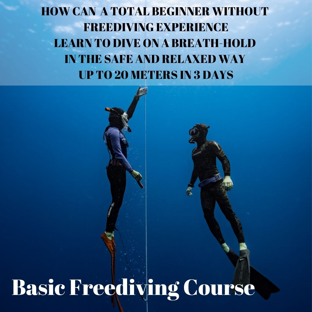 Basic Freediving Course - Wave 1