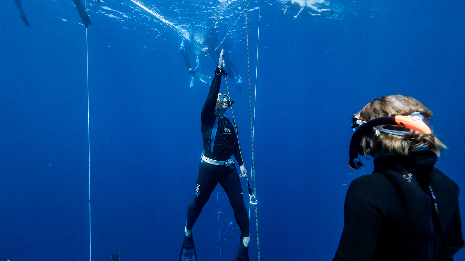 Line diving many freedivers