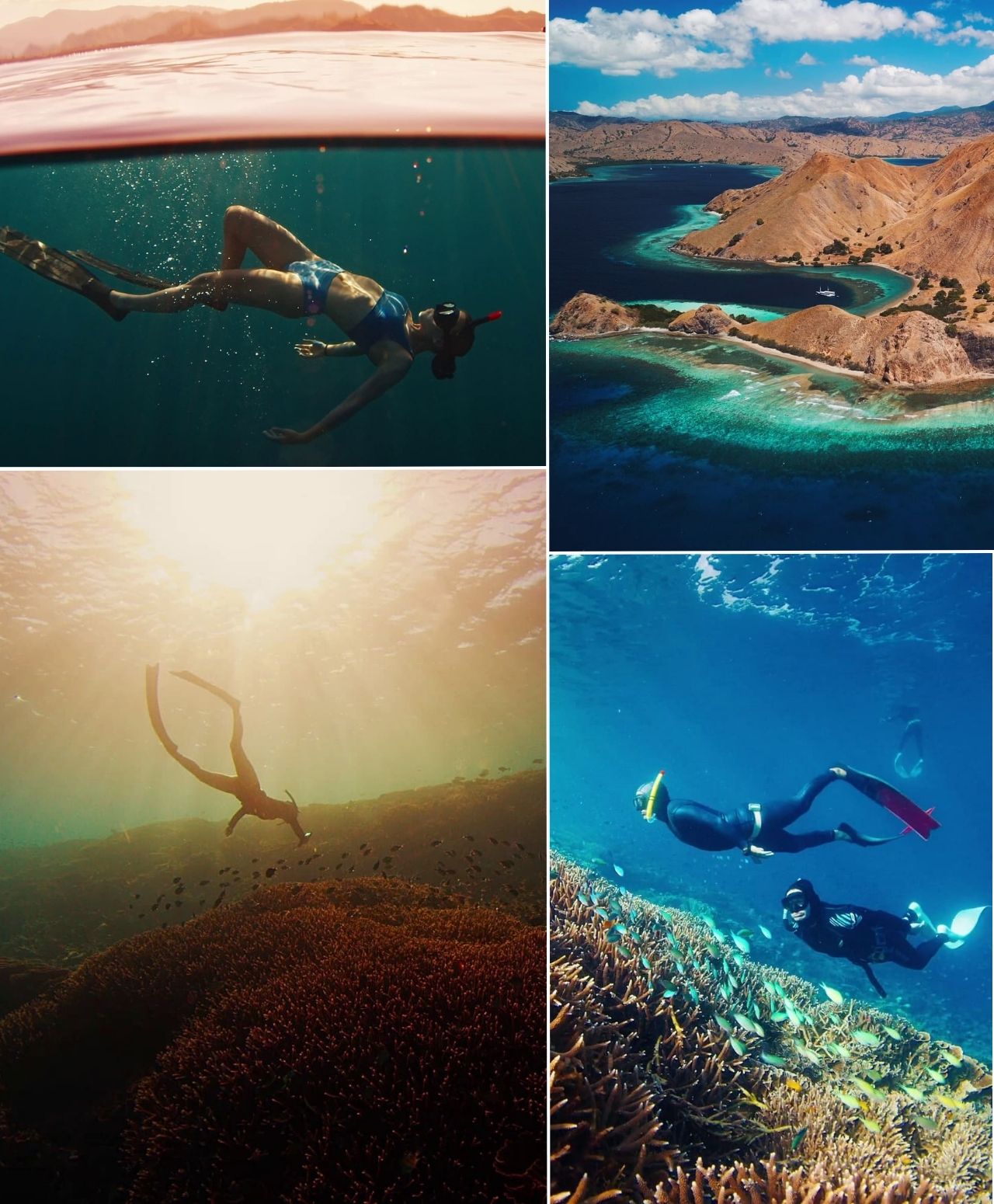 Freedive Safari to Komodo