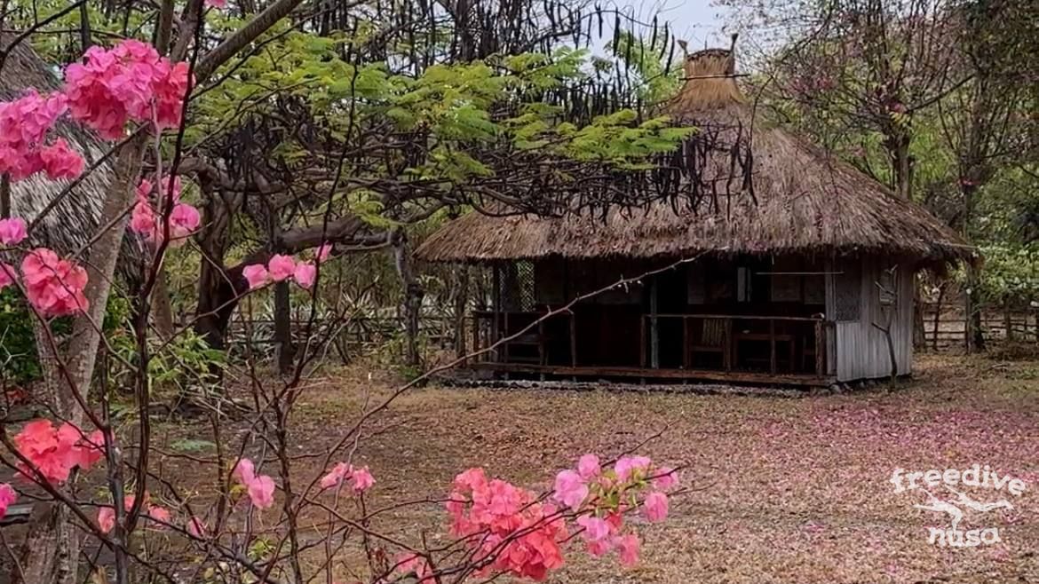 bungalows on Kepa Island