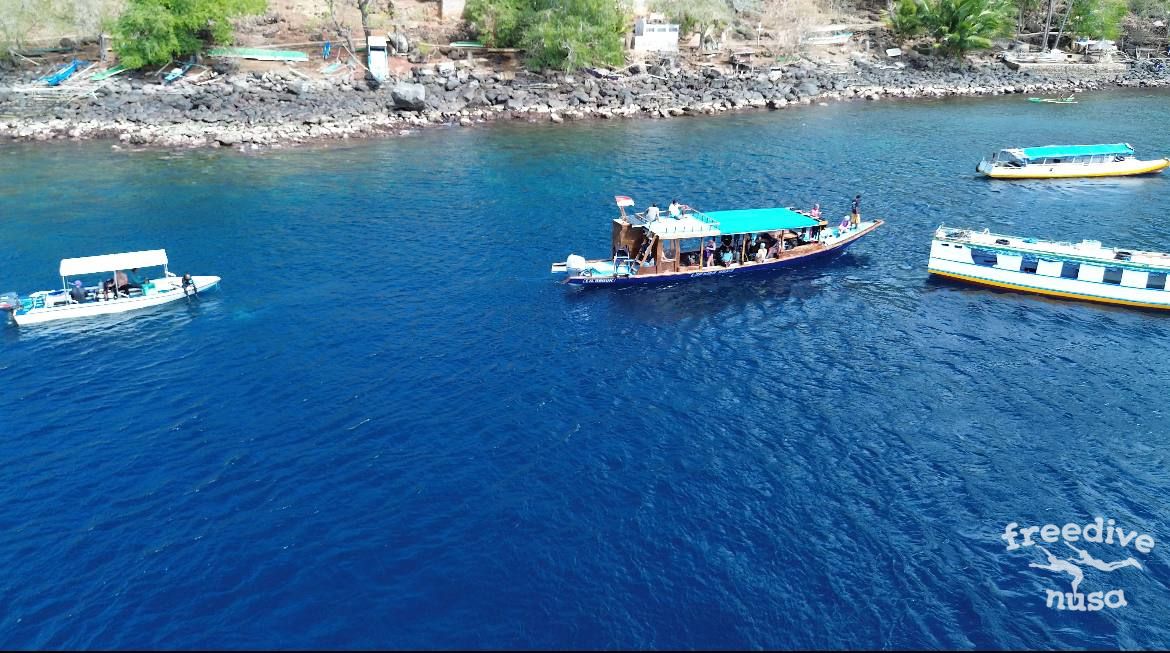 boat freediving Alor