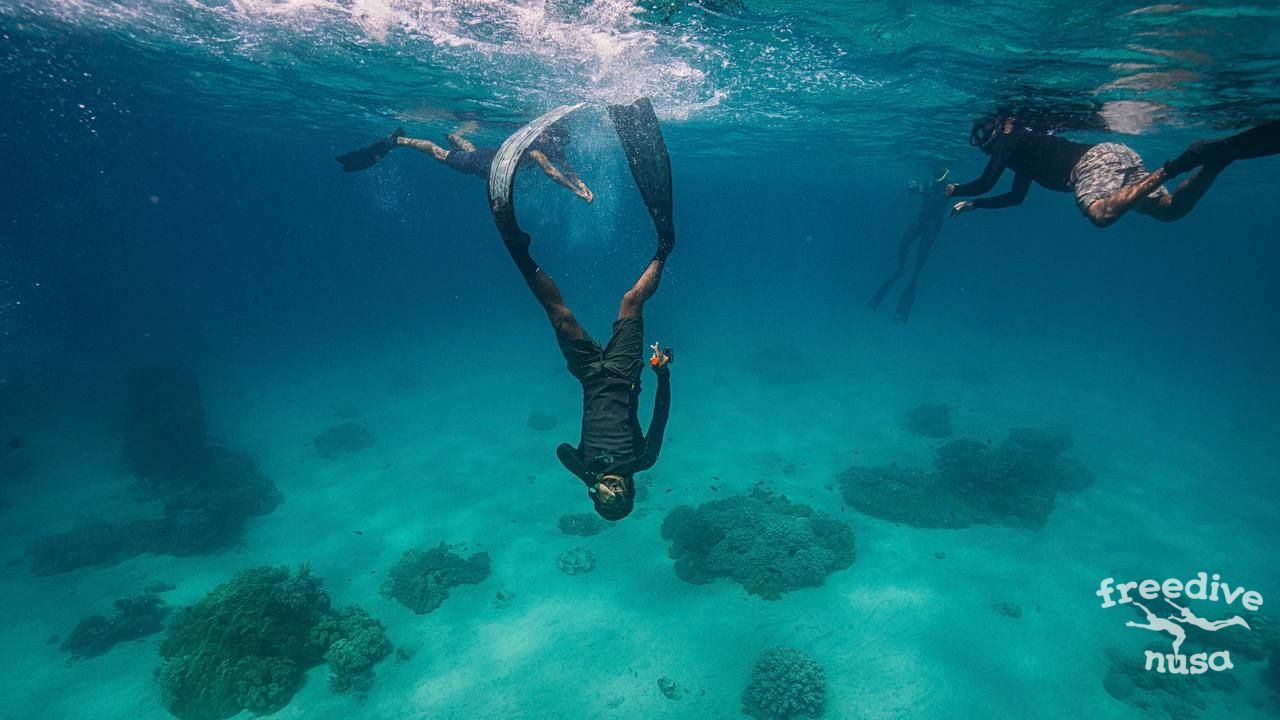 fun freediving in Timor Leste