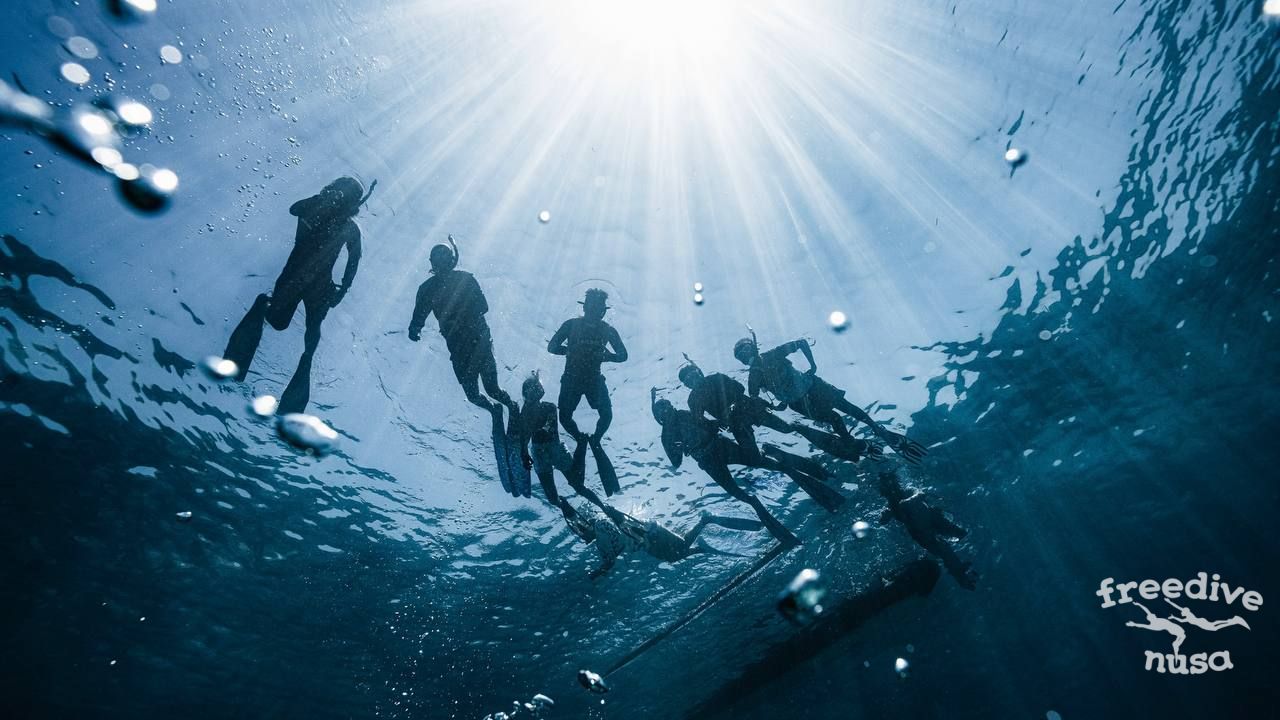 Underwater world of Timor Leste