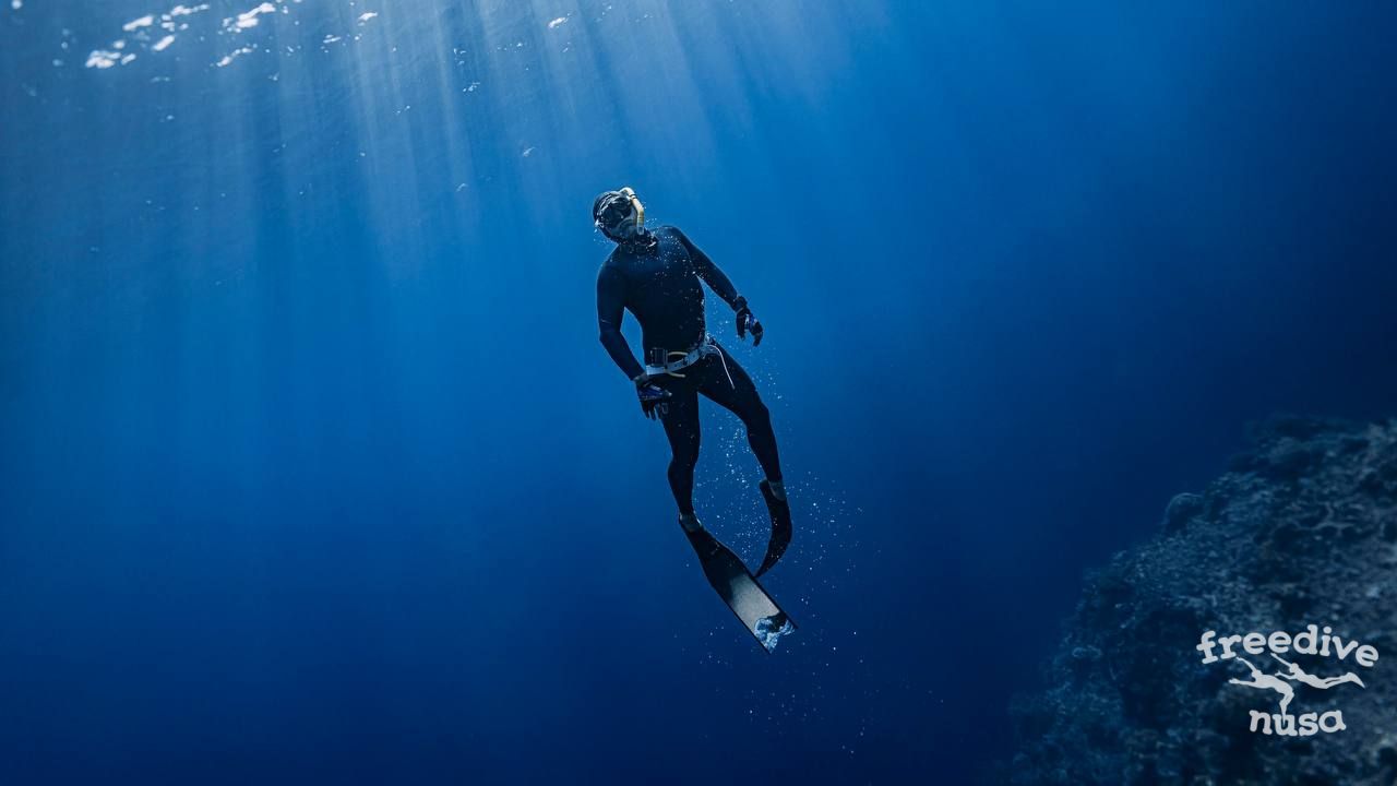 freediving Timor Leste