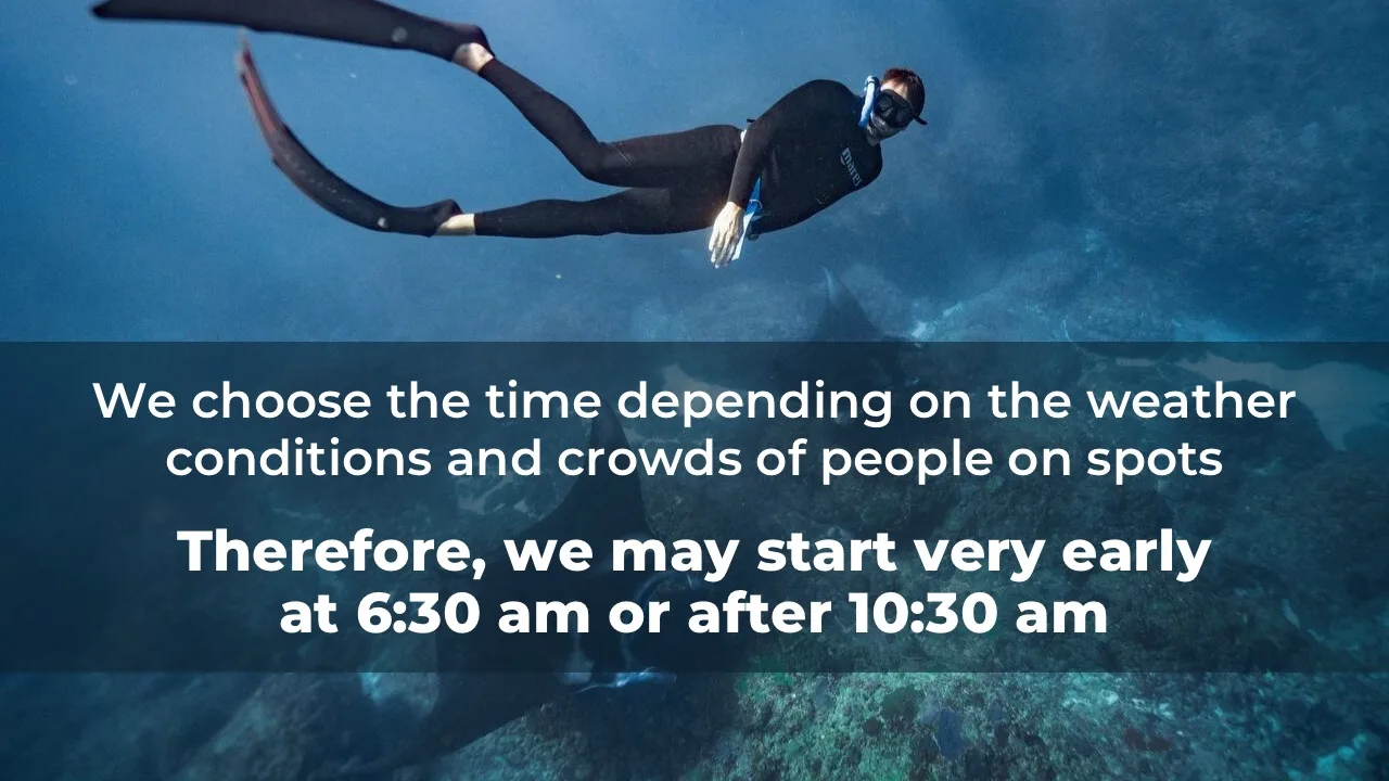 Freedive School on Nusa Penida
