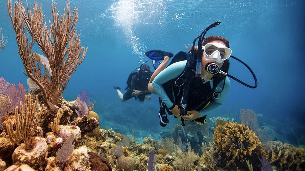 How Scuba and Freediving Complement Each Other