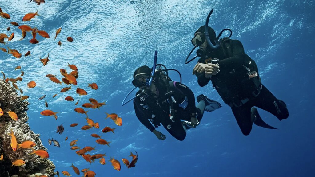 The Basics: Scuba Diving vs Freediving