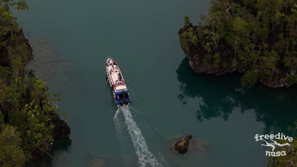 Freedive Trip to Kri Island