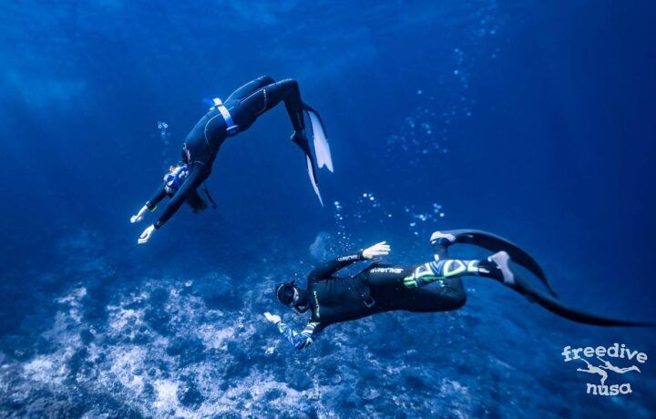 The Difference Between Scuba Diving and Freediving