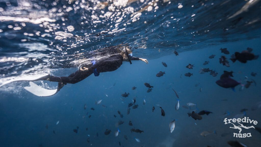 snorkeling2