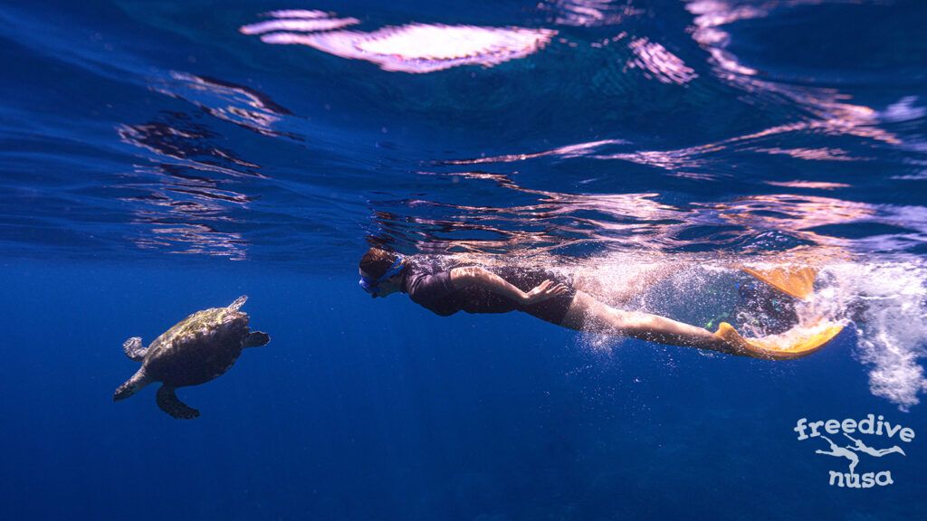 Snorkeling4