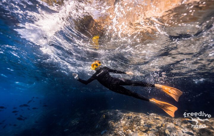 snorkelingcover