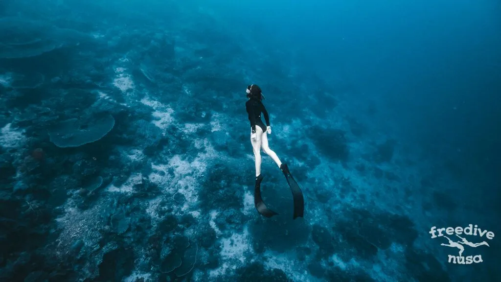 5. fins long carbon