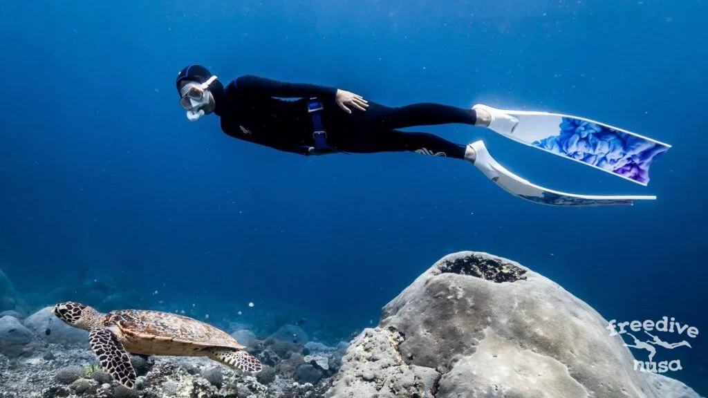 raja ampat snorkeling trip Freediving with turtles