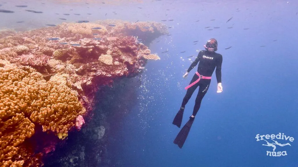 Activities in Raja Ampat