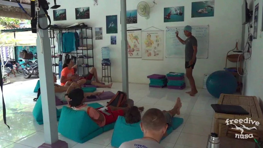Beginner Snorkeling Course