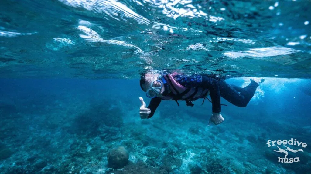 Beginner Snorkeling Course