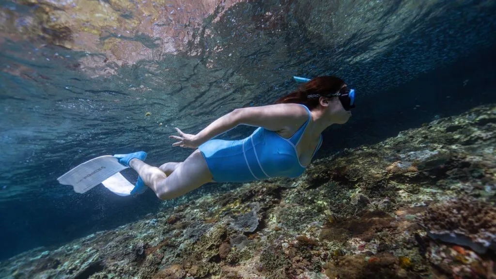 Beginner Snorkeling Course