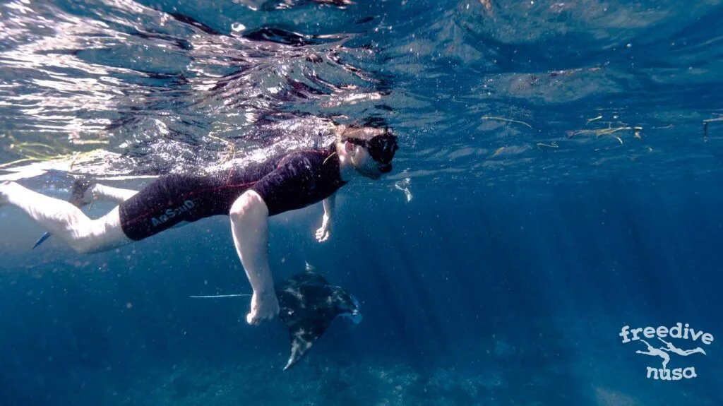Beginner Snorkeling Course