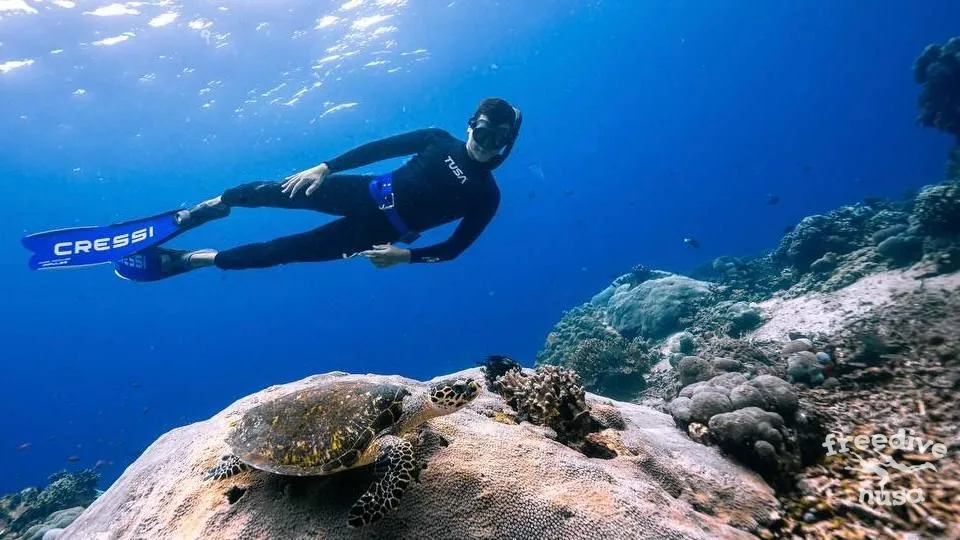 Freediving in Maratua