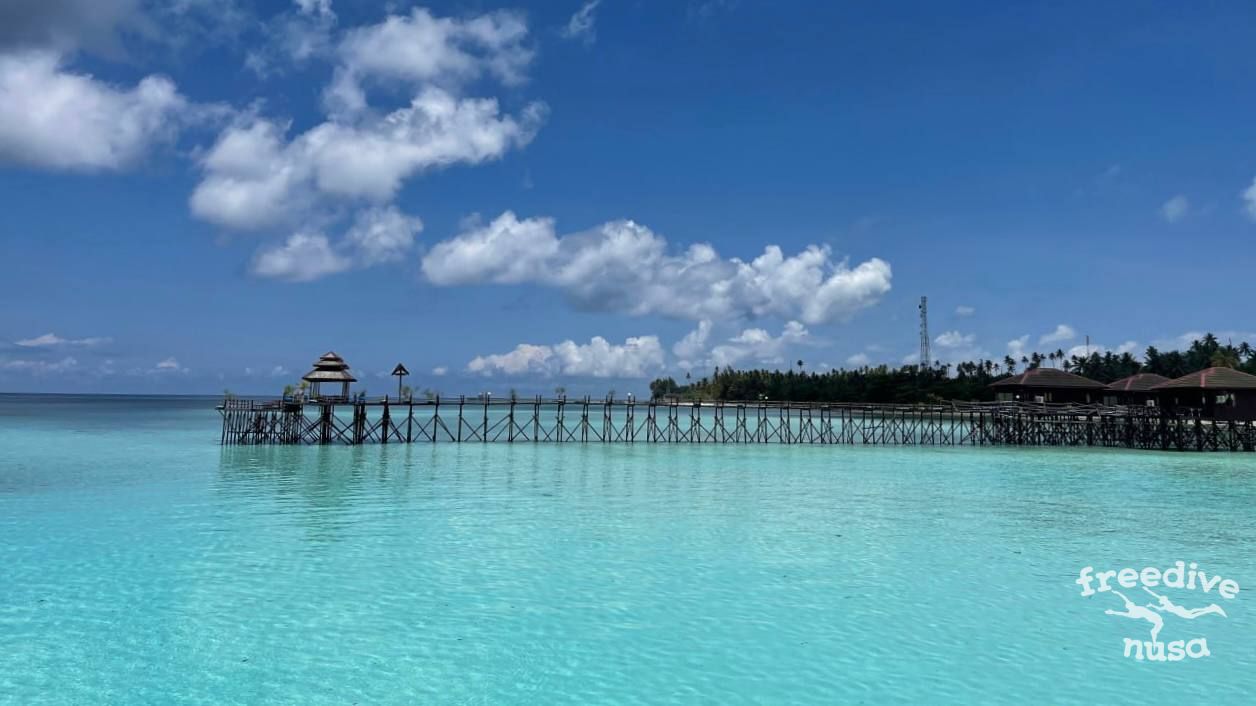 misool trip Maratua Freedive Trip
