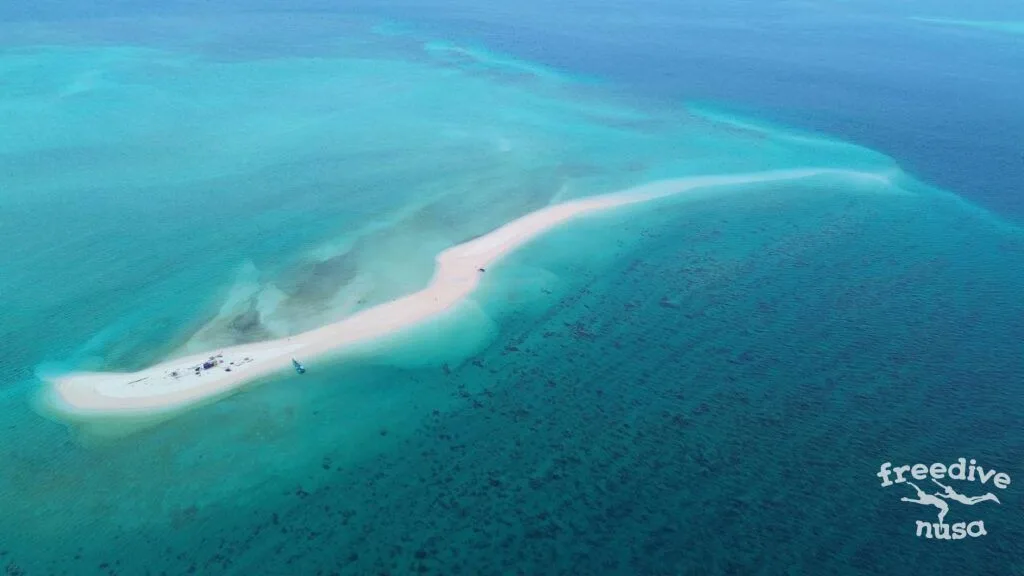 Freedive Trip to Maratua