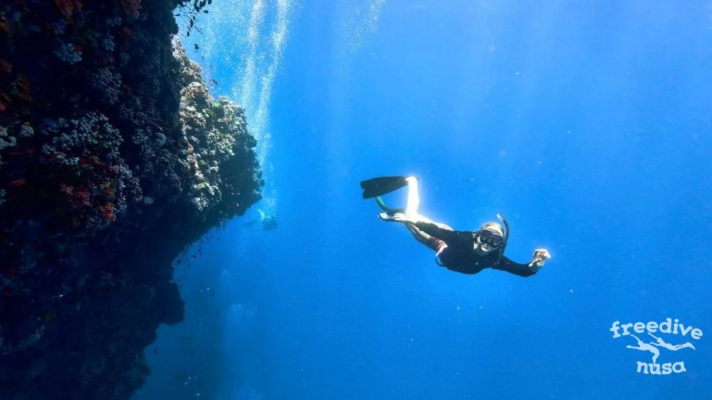 Fun diving in Alor